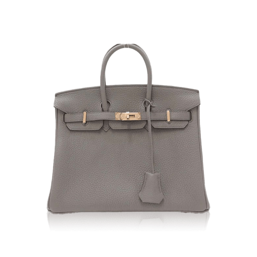 Pre-Owned Hermes Birkin 25 Ethantogo Gold Fittings