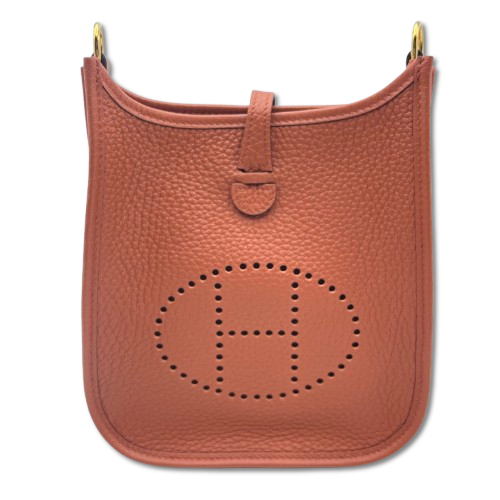 Pre-Owned Hermes Mini Evelyn Amazone TPM Cuigre Torillon Clemence Gold Hardware W Engraved