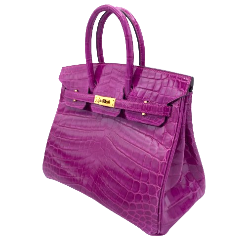 Hermes Birkin 25 Rose Cheherazade 25 Nilotticus 골드 하드웨어 C.