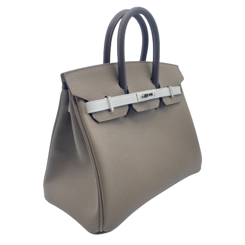 Hermes Birkin 25 Etoupe Epson Silver Metal Fittings B 새겨 져
