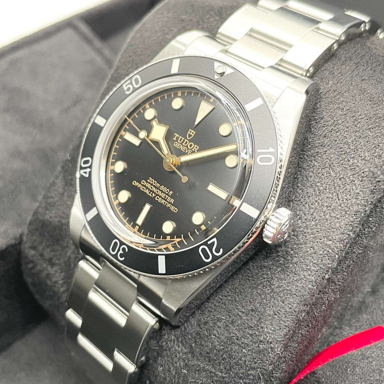 【2023年新款】帝舵 Black Bay 54 79000N-0001 黑色 37mm