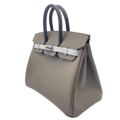 Hermes Birkin 25 Etoupe Epson Silver Metal Fittings B 새겨 져