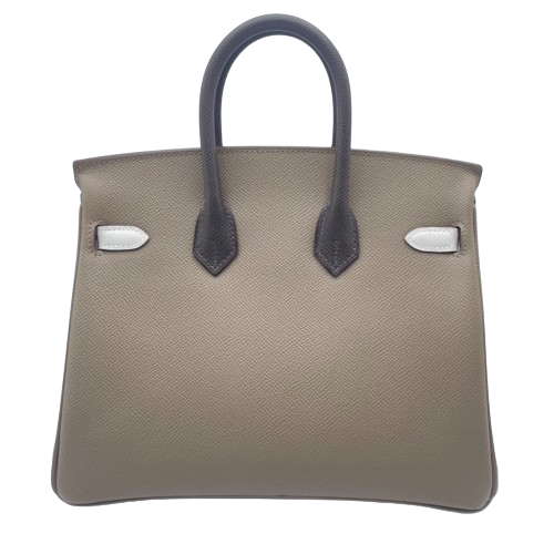 Hermes Birkin 25 Etoupe Epson Silver Metal Fittings B 새겨 져