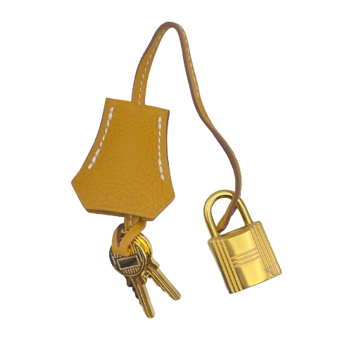 Hermes Birkin 25 Natural Sable Togo Gold 하드웨어 W 새로