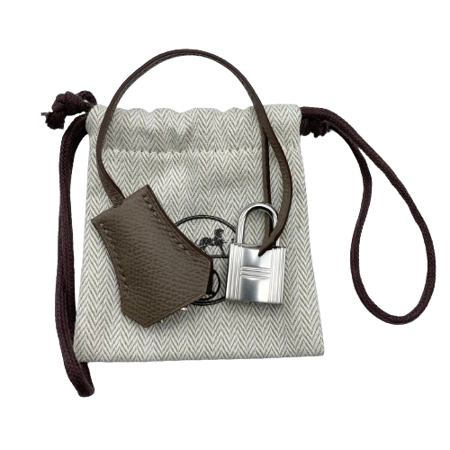 Hermes Birkin 25 Etoope Tricolor Epson Silver Metal Fittings w 새겨 져