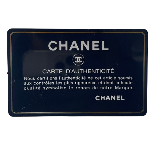 Chanel Coco Handle 鱼子酱皮肤蓝色