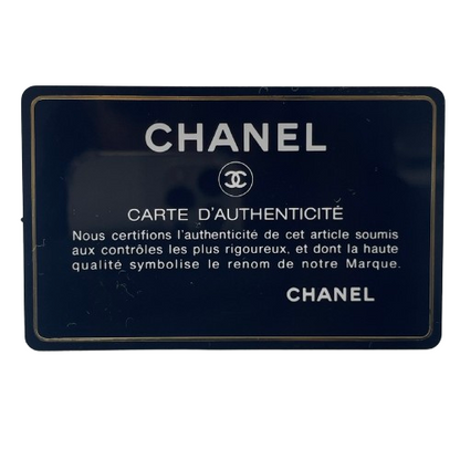Chanel Coco Handle 鱼子酱皮肤蓝色