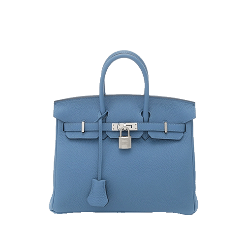 Hermes Birkin 25 Azure Togo Silver Fittings New