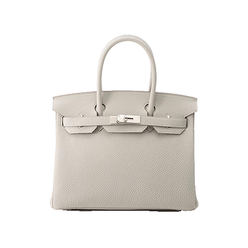 Hermes Birkin 25 Blue France Swift, Canvas Silver Metal Fittings New