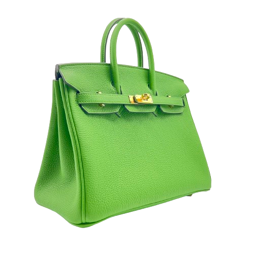 Hermes Birkin 25 Veil Yucca Togo Gold Hardware B Engraved
