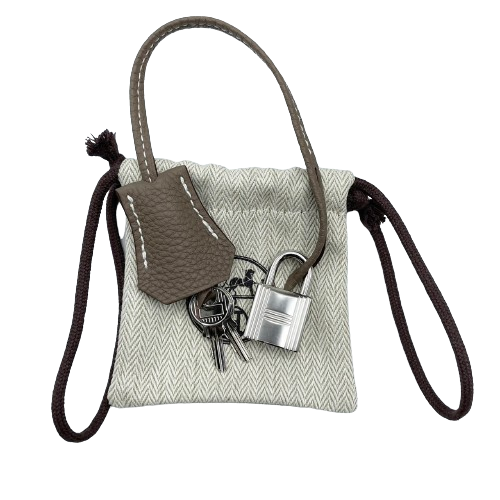 Hermes Birkin 25 Etoup Togo Silver Fittings u 조각