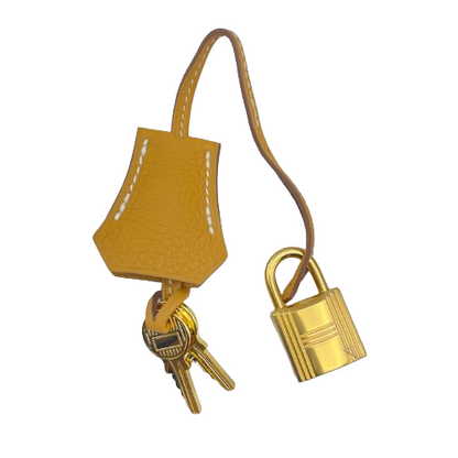 Hermes Birkin 25 Natural Sable Togo Gold 하드웨어 W 새로